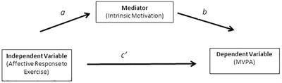 Intrinsic Motivation Mediates the Association Between Exercise-Associated Affect and Physical Activity Among Adolescents